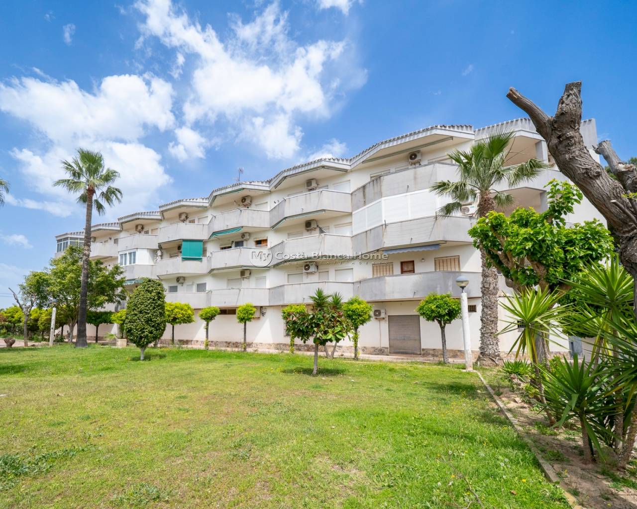 Apartment - Resale - Orihuela Costa - Cabo Roig