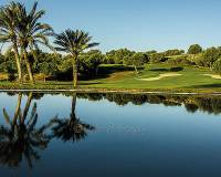 Resale - Apartment - Elche - ElcheAlicanteValenciaSpain