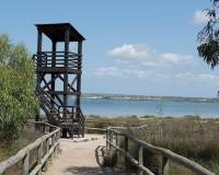 Resale - Apartment - La Mata - La Mata - Town