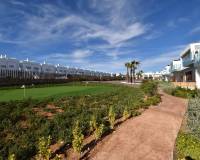 Resale - Apartment - Los Montesinos - Entre Naranjos / Vistabella Golf