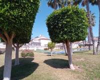 Resale - Apartment - Orihuela Costa - Playa Flamenca