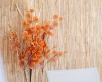 Resale - Apartment - Orihuela Costa - Punta Prima