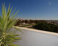 Resale - Apartment - Pilar de la Horadada - Pilar de La Horadada - Town