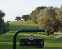 Resale - Apartment - Playa Flamenca