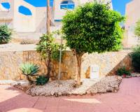 Resale - Apartment - San Miguel de Salinas - Las Comunicaciones