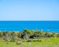 Resale - Apartment - Torrevieja - Rocio del Mar