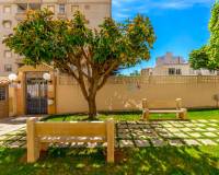 Resale - Apartment - Torrevieja - Torrevieja - Centre