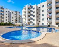 Resale - Apartments - San Miguel de Salinas - San Miguel