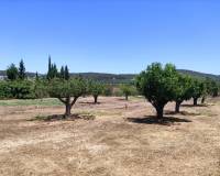 Resale - Country House - Agres