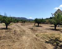 Resale - Country House - Agres