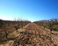 Resale - Country House - Agullent