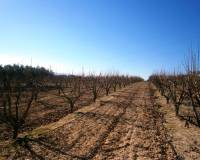 Resale - Country House - Agullent