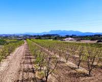 Resale - Country House - Agullent