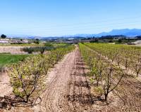 Resale - Country House - Agullent