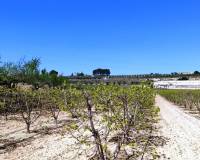 Resale - Country House - Agullent