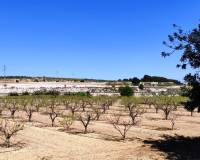 Resale - Country House - Agullent