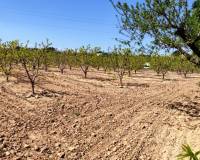 Resale - Country House - Agullent