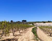 Resale - Country House - Agullent