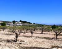 Resale - Country House - Agullent