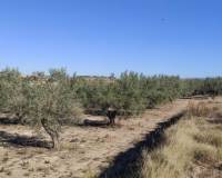 Resale - Country House - Agullent