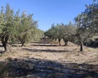 Resale - Country House - Agullent