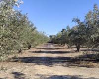 Resale - Country House - Agullent