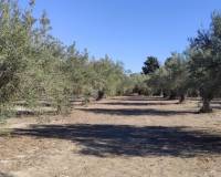 Resale - Country House - Agullent