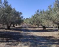 Resale - Country House - Agullent