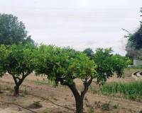 Resale - Country House - Albaida