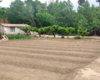 Resale - Country House - Albaida