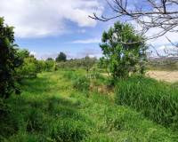 Resale - Country House - Albaida