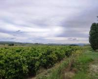 Resale - Country House - Albaida