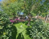 Resale - Country House - Albatera - AlbateraAlicanteValenciaSpain