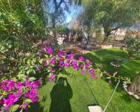 Resale - Country House - Albatera - AlbateraAlicanteValenciaSpain