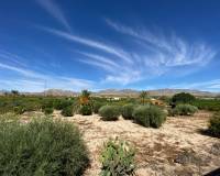 Resale - Country House - Albatera - AlbateraAlicanteValenciaSpain