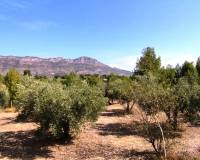 Resale - Country House - Alcocer De Planes - Alcocer de Planes