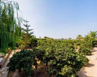 Resale - Country House - Almoradi - Almoradi - Town