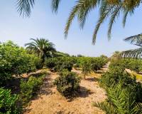 Resale - Country House - Almoradi - Almoradi - Town