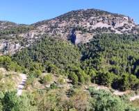 Resale - Country House - Benasau