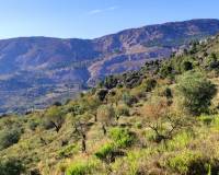 Resale - Country House - Benasau