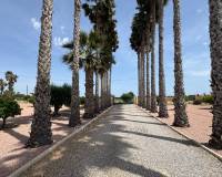 Resale - Country House - Benejúzar