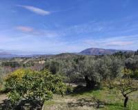 Resale - Country House - Benifallim