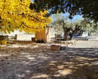 Resale - Country House - Benilloba