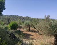 Resale - Country House - Benillup