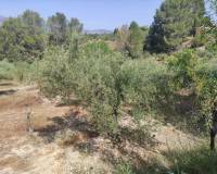 Resale - Country House - Benillup