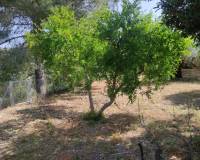 Resale - Country House - Benillup