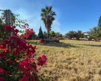 Resale - Country House - Callosa de Segura - Callosa de SeguraAlicanteValenciaSpain