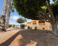 Resale - Country House - Catral - CatralAlicanteValenciaSpain