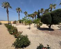Resale - Country House - Catral - CatralAlicanteValenciaSpain