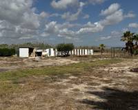 Resale - Country House - Catral - CatralAlicanteValenciaSpain